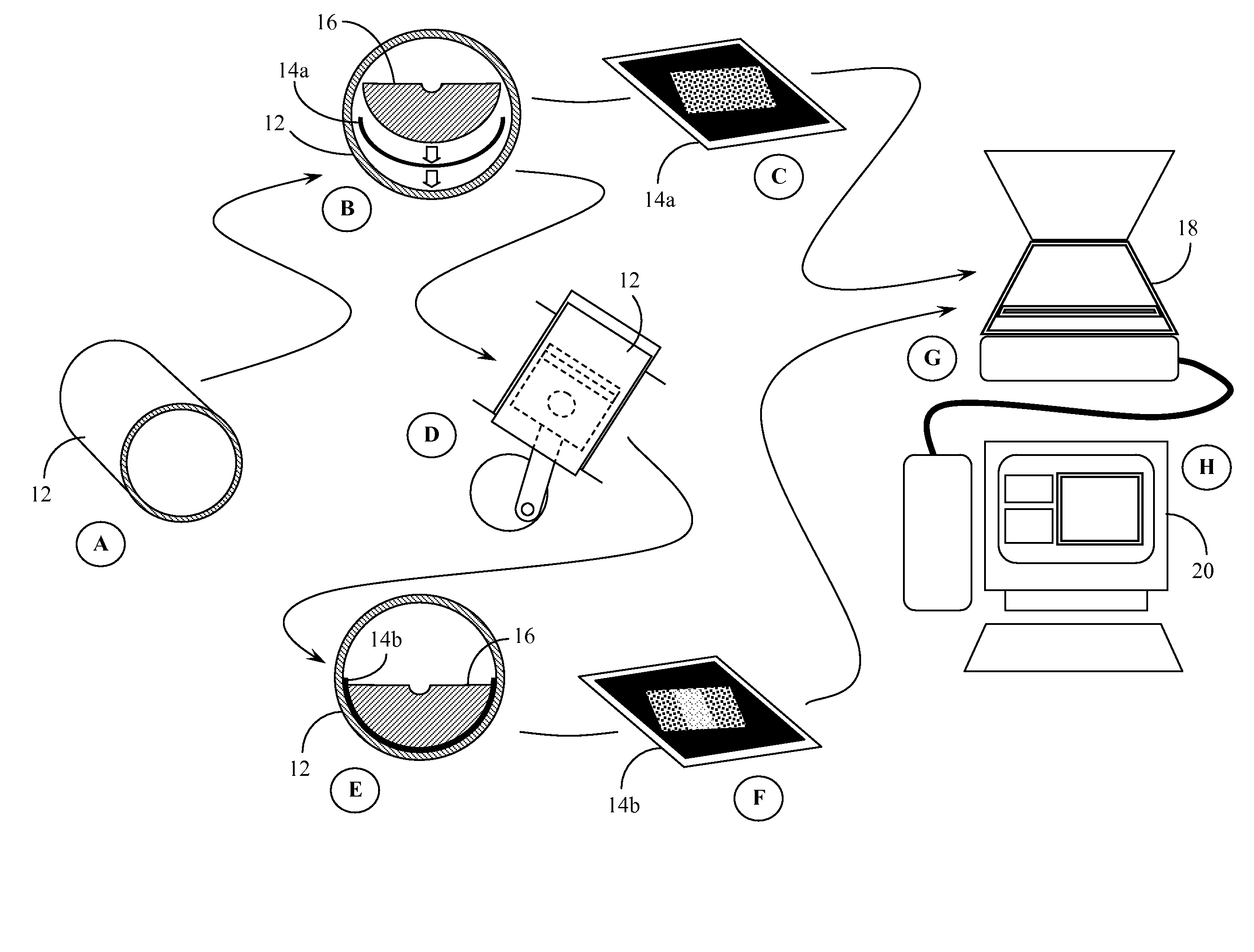 Autoradiography-based differential wear mapping