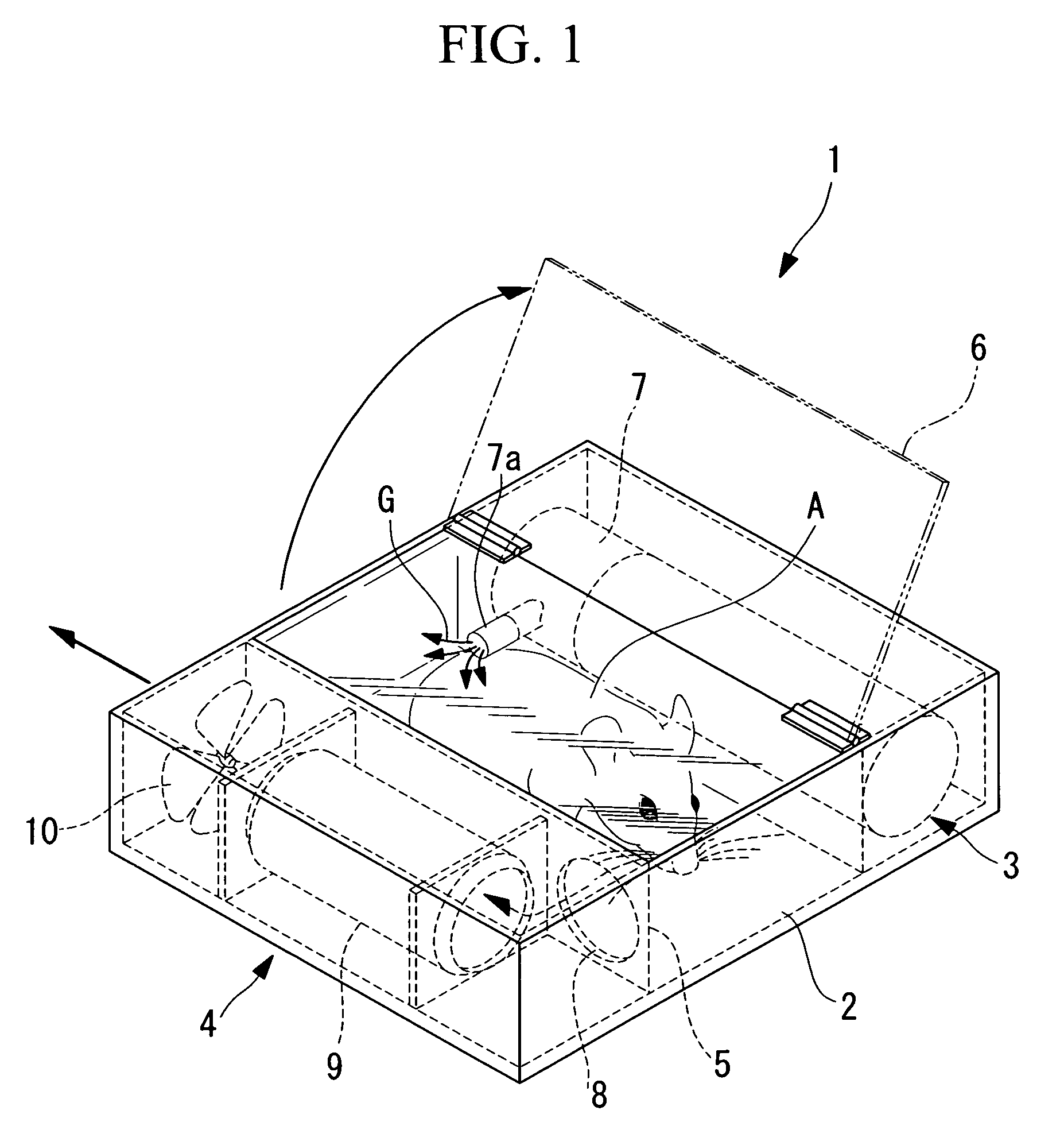 Anesthetizing chamber and microscope apparatus