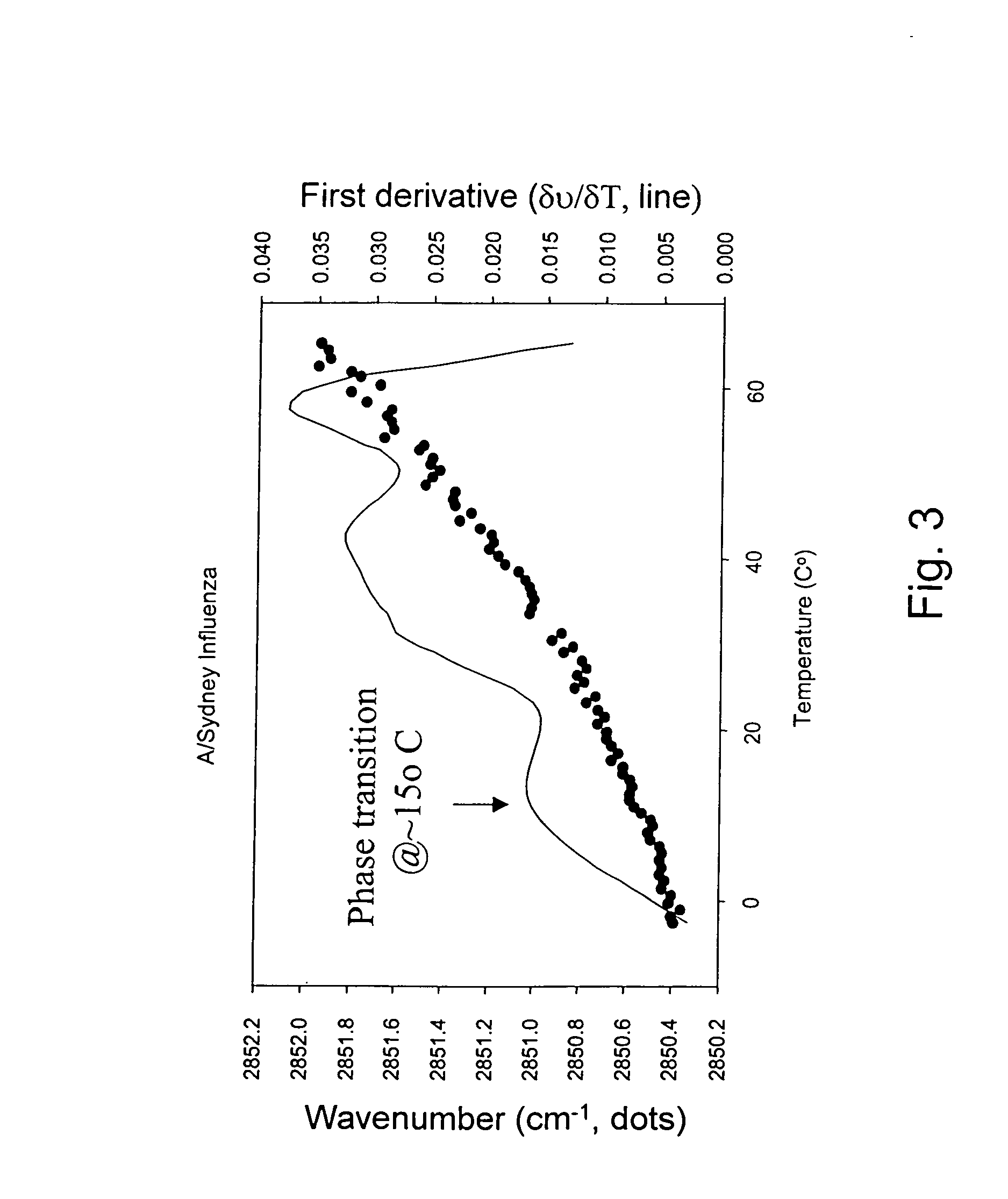 Preservation of bioactive materials by freeze dried foam