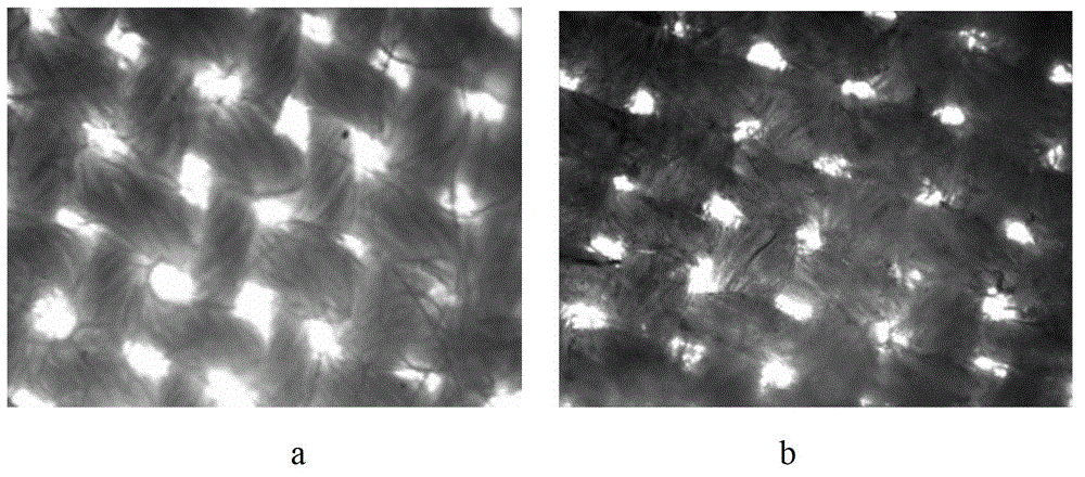 Preparation method of anti-bacteria cotton fabric containing AgO/TiO2 composite