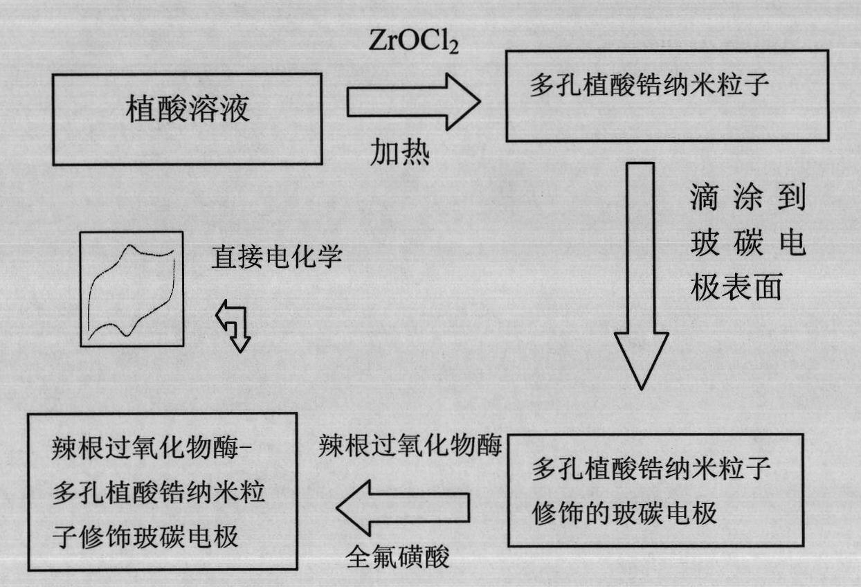 Method for preparing electrochemical biosensor based on horse radish peroxidase-porous zirconium phytate nanoparticle modified glassy carbon electrode