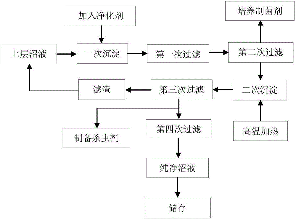 Method of efficiently purifying and comprehensively utilizing biogas slurry