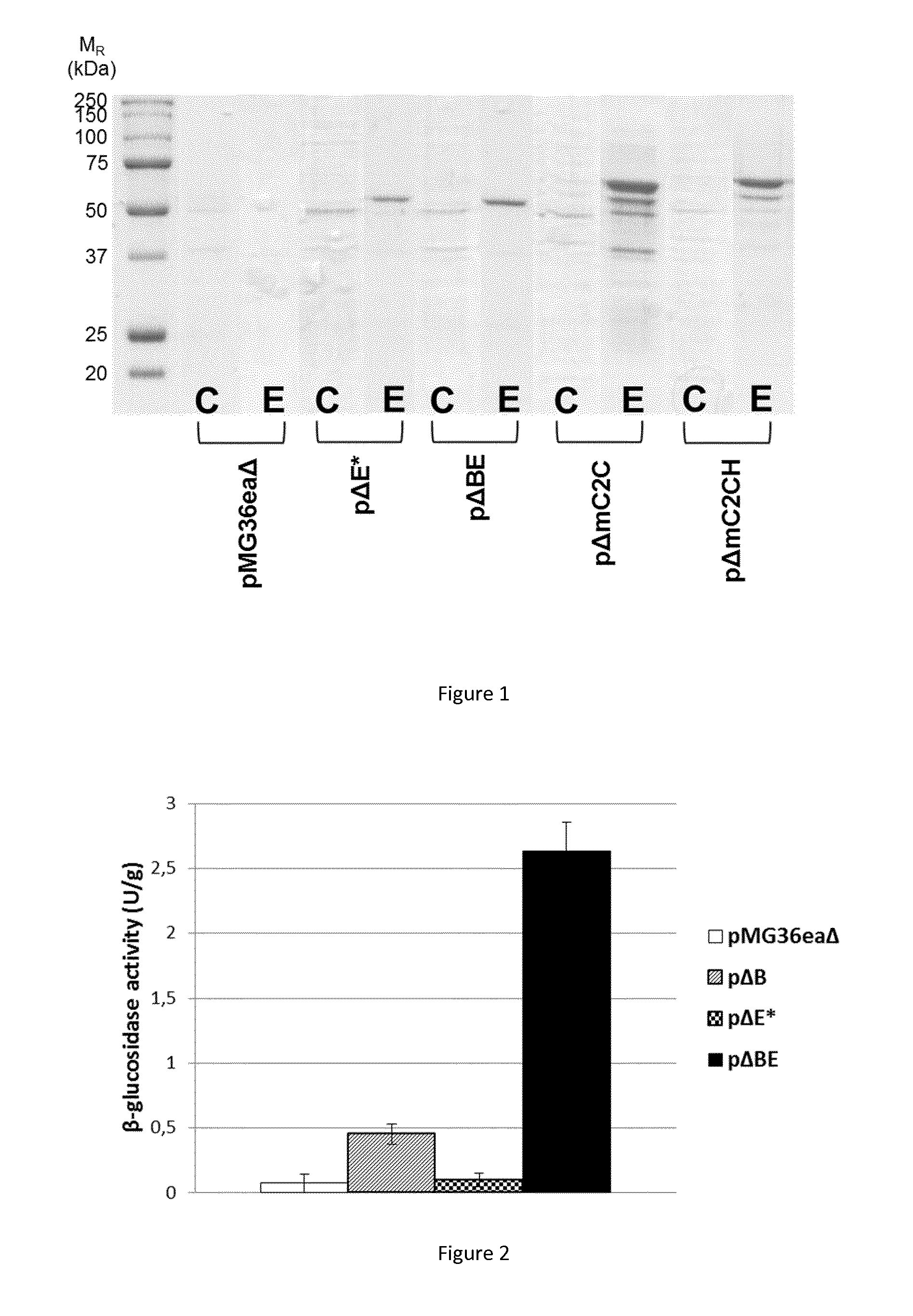 Recombinant cellulosome complex and uses thereof