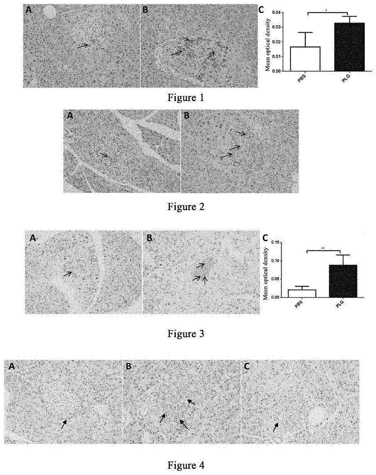 Method for regulating and controlling glp-1/glp-1r and drug