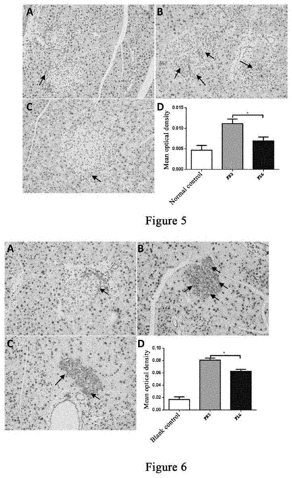 Method for regulating and controlling glp-1/glp-1r and drug