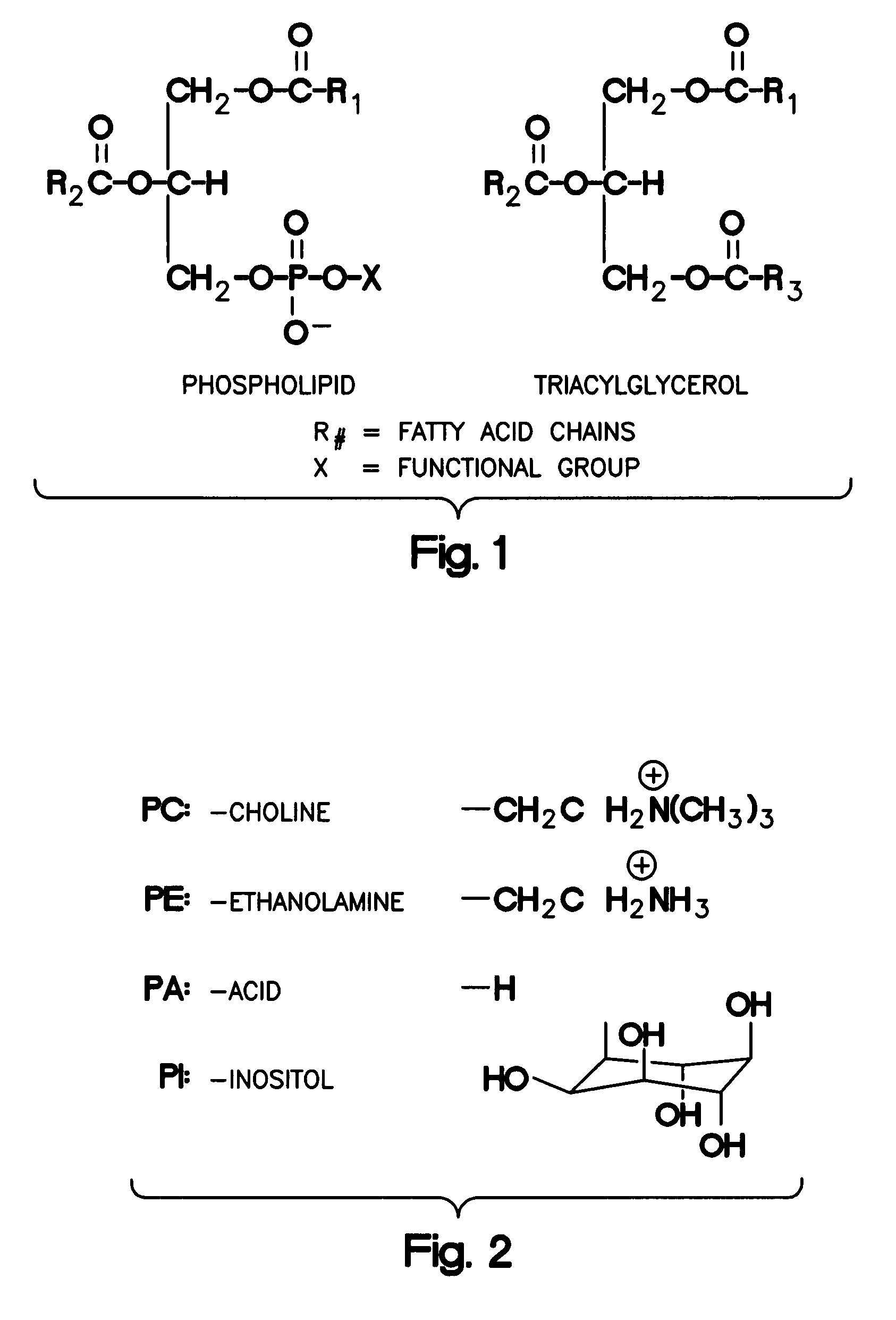 Enzymatic degumming utilizing a mixture of PLA and PLC phospholipases