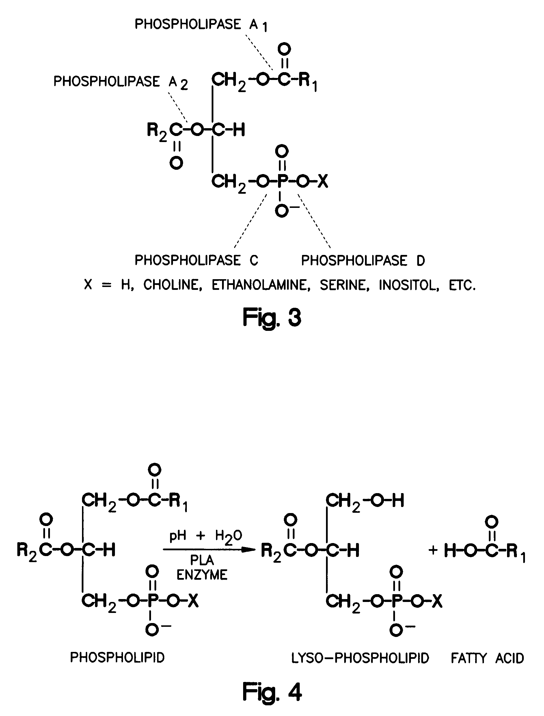 Enzymatic degumming utilizing a mixture of PLA and PLC phospholipases