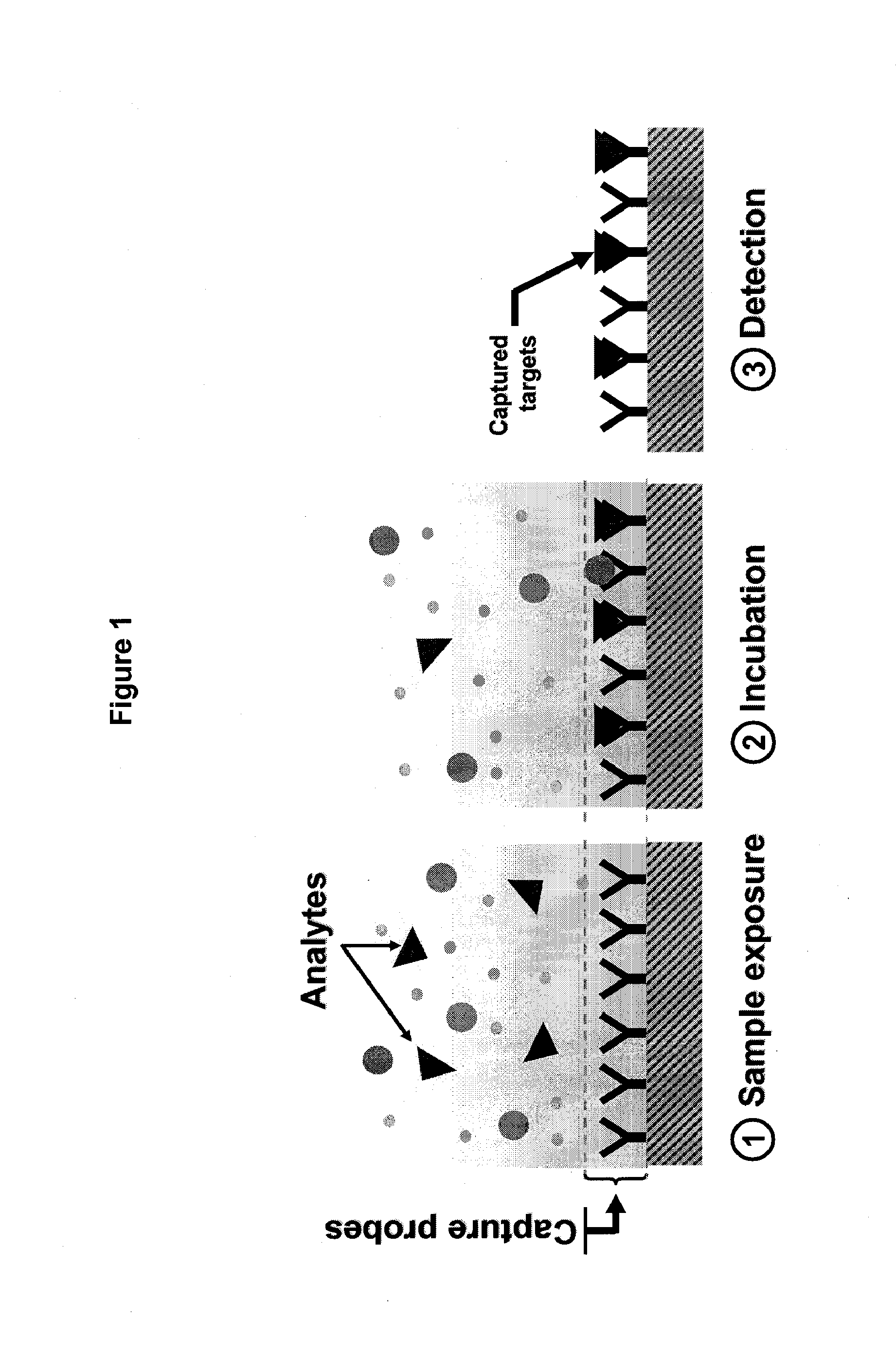 Real time microarrays