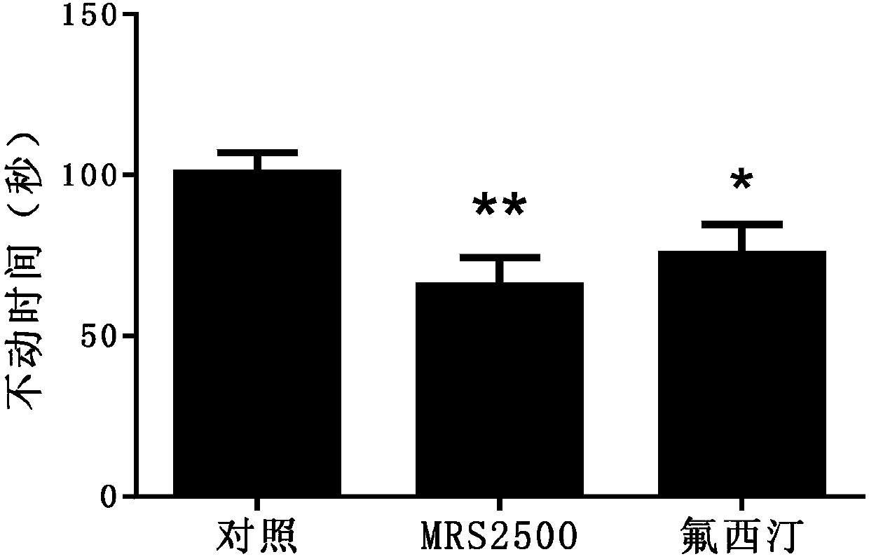 Application of P2Y1 receptor and blocking agent of P2Y1 receptor in prevention and treatment of anti-depression symptom and/or anti-anxiety symptom