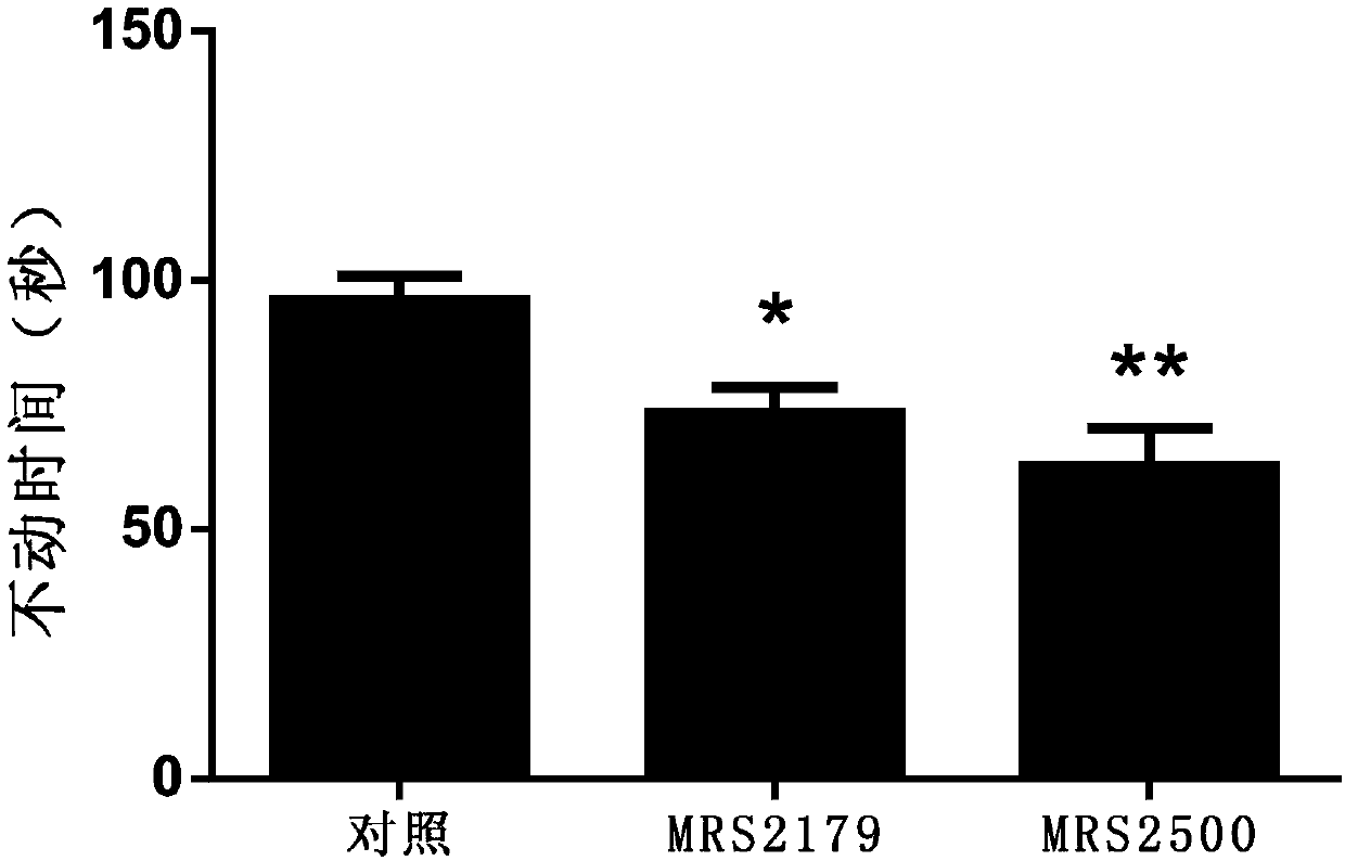 Application of P2Y1 receptor and blocking agent of P2Y1 receptor in prevention and treatment of anti-depression symptom and/or anti-anxiety symptom