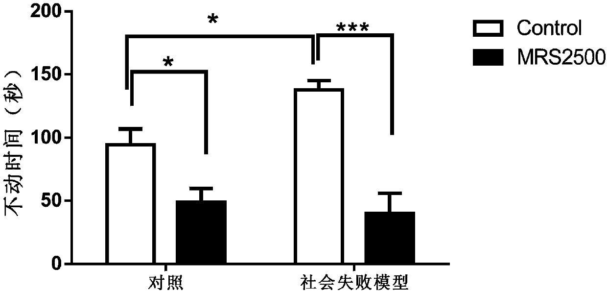 Application of P2Y1 receptor and blocking agent of P2Y1 receptor in prevention and treatment of anti-depression symptom and/or anti-anxiety symptom