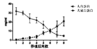 Method for maturation and amplification of hepatocyte-like cells