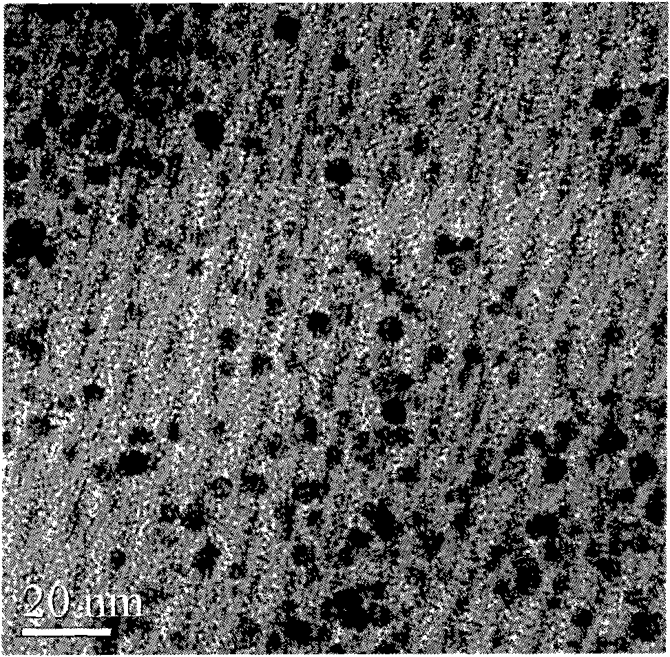 Method for preparing water dispersible metal nano-particles