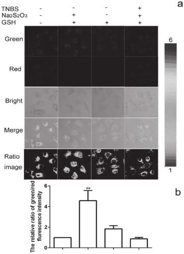 Ratiometric fluorescent probe for detecting sulfur dioxide derivatives and application thereof