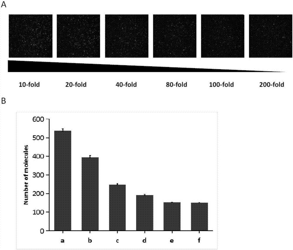 Method for detecting single biological marker by using total internal reflection fluorescent microscope