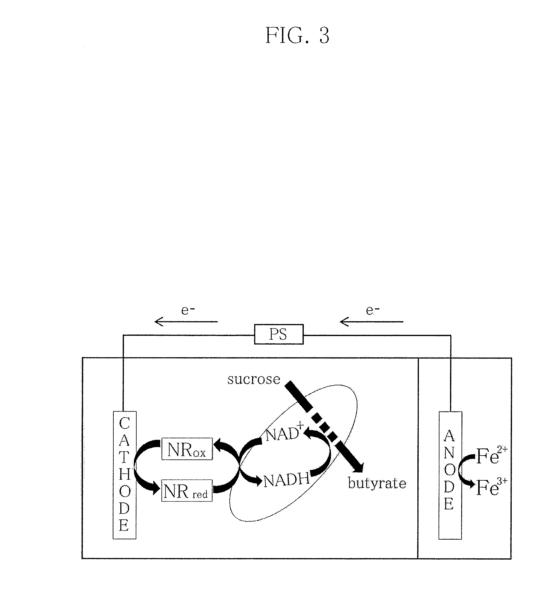 Method for enhancing butyrate production by clostridium tyrobutyricum