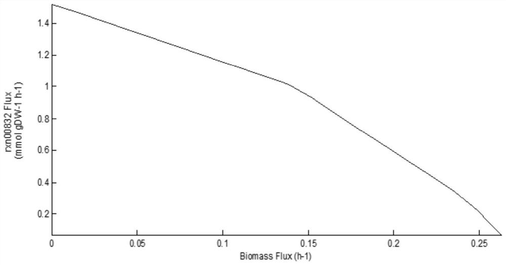 Recombinant bacterium for fermentation production of purine nucleoside as well as construction method and application thereof