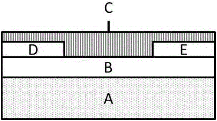 Ultra Thin Film Field Effect Transistor Sensor and Its Application