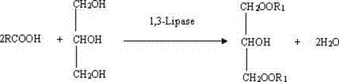 Method for preparing DAG by enzymolysis of TAG