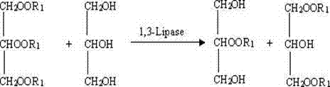 Method for preparing DAG by enzymolysis of TAG