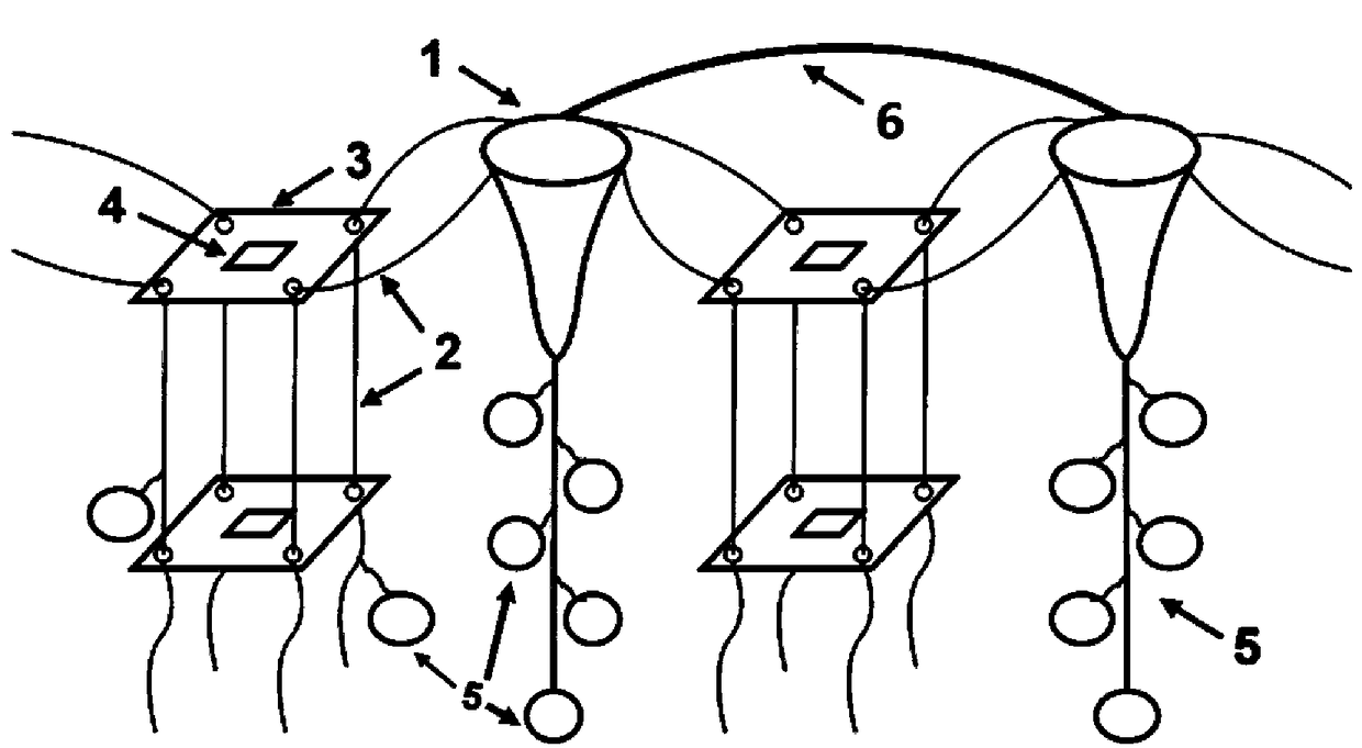 Floating three-dimensional device for culturing coral in seawater