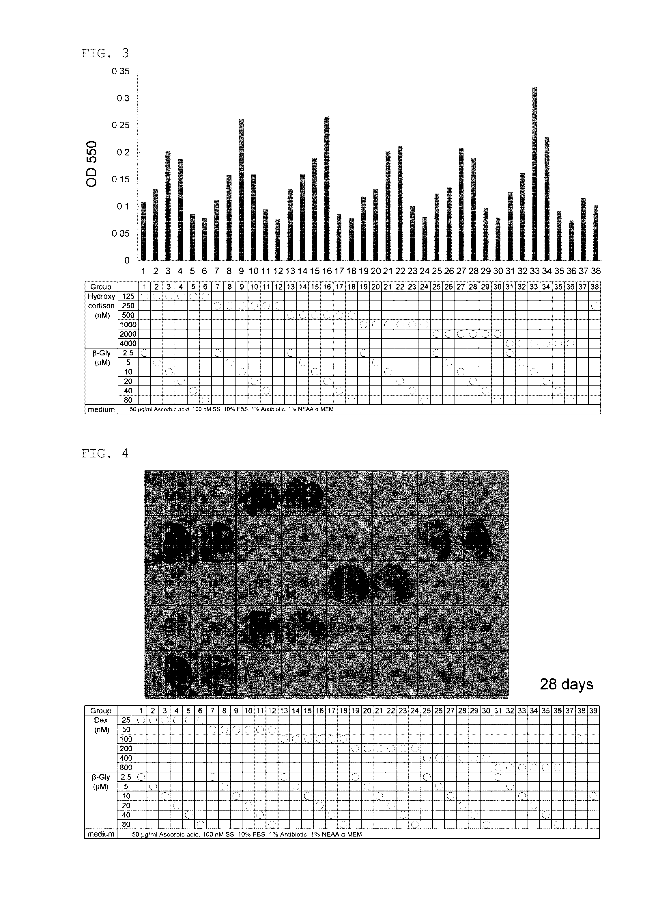 Method for preparing osteoblasts and osteoblast inducer