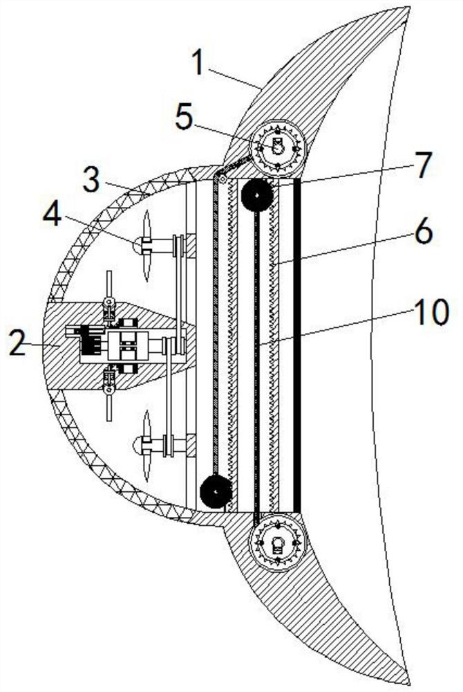 A device for alleviating complications after hematopoietic stem cell transplantation