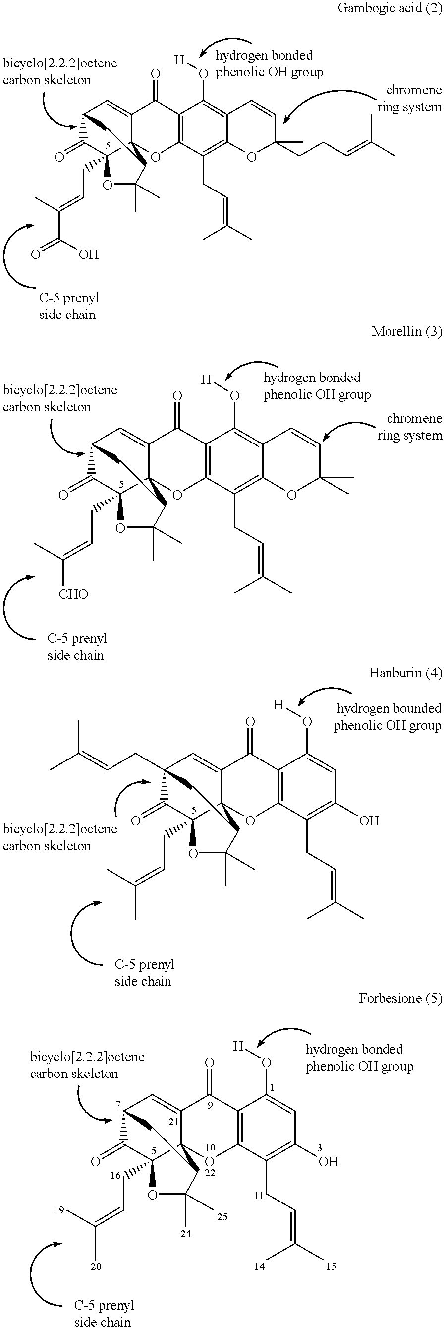 Xanthone compounds, their preparation and use as medicament