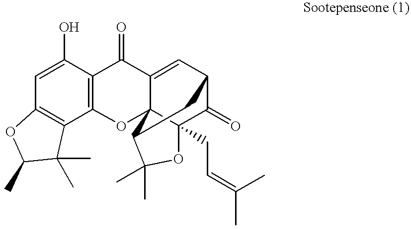 Xanthone compounds, their preparation and use as medicament