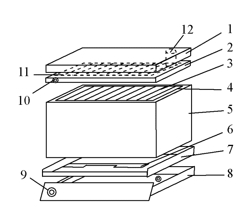 Hive type biological filtration reactor