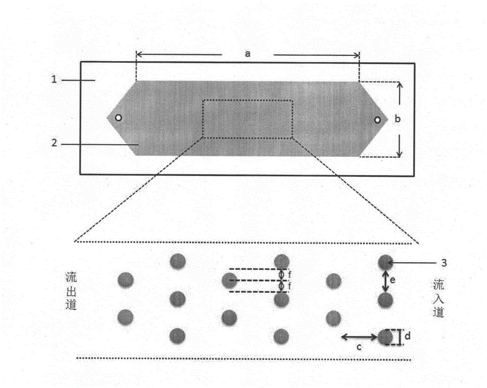 Circulating tumor stem cell detection kit based on magnetic beads and microfluidic chip