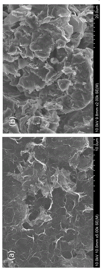 Preparation method of three-dimensional graphene-protein composite aerogel