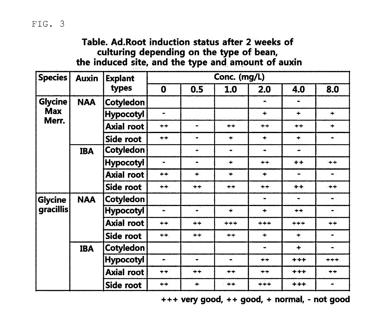 Culturing method for cultured leguminous roots having increased coumestrol content