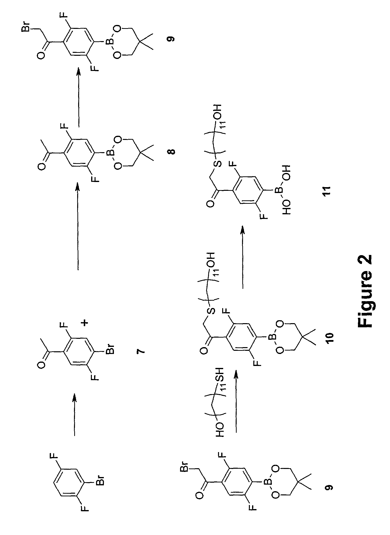 Aryl boronate functionalized polymers for treating obesity