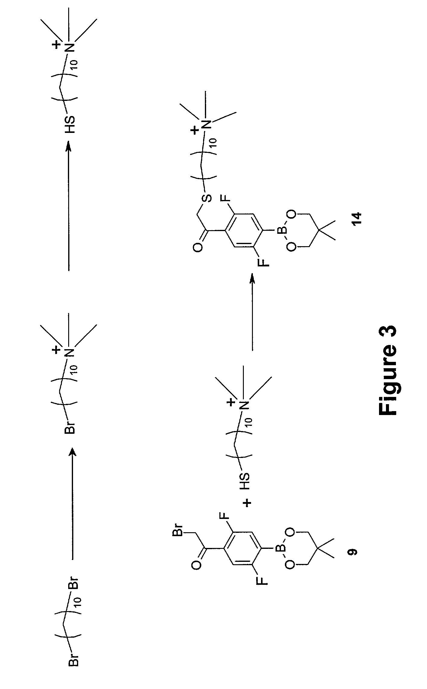 Aryl boronate functionalized polymers for treating obesity