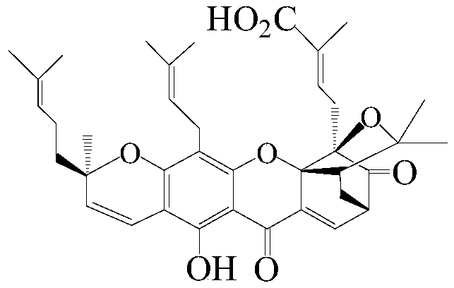 Method for separating neogambogic acid and gambogic acid by medium and low pressure gradient silica gel dry column chromatography and method for preparing N-aryl garcinamide