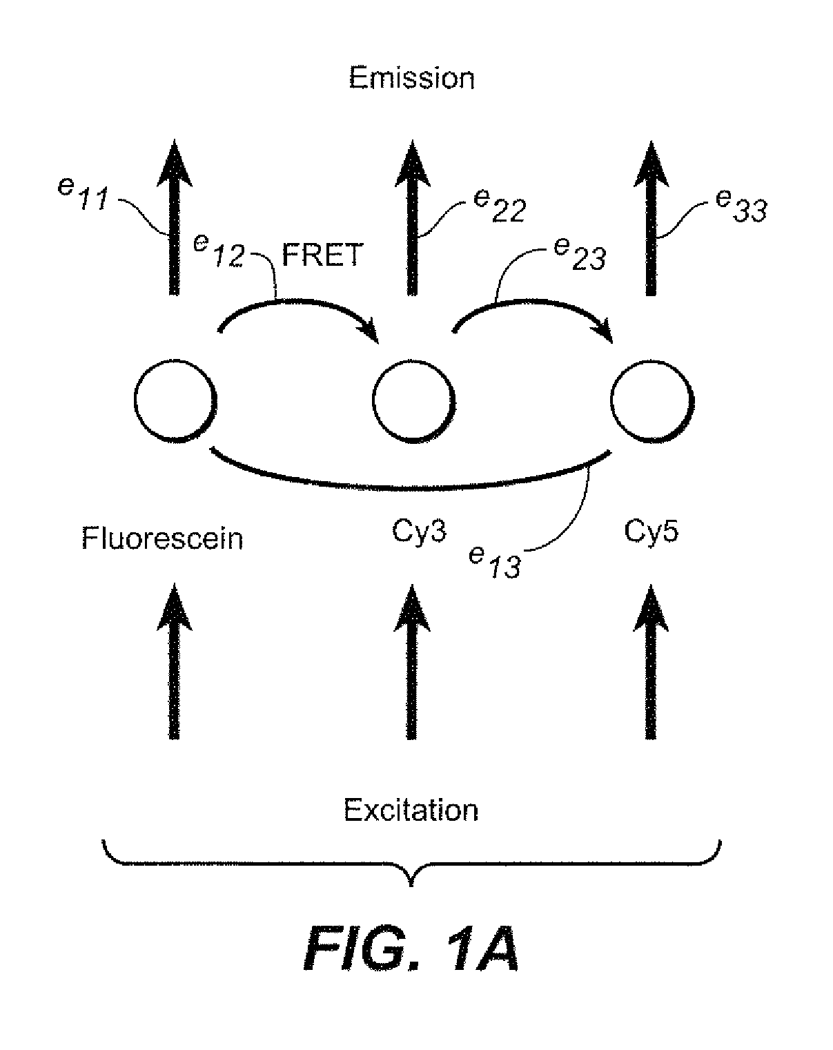 Method of simultaneous frequency-sweeping lifetime measurements on multiple excitation wavelengths