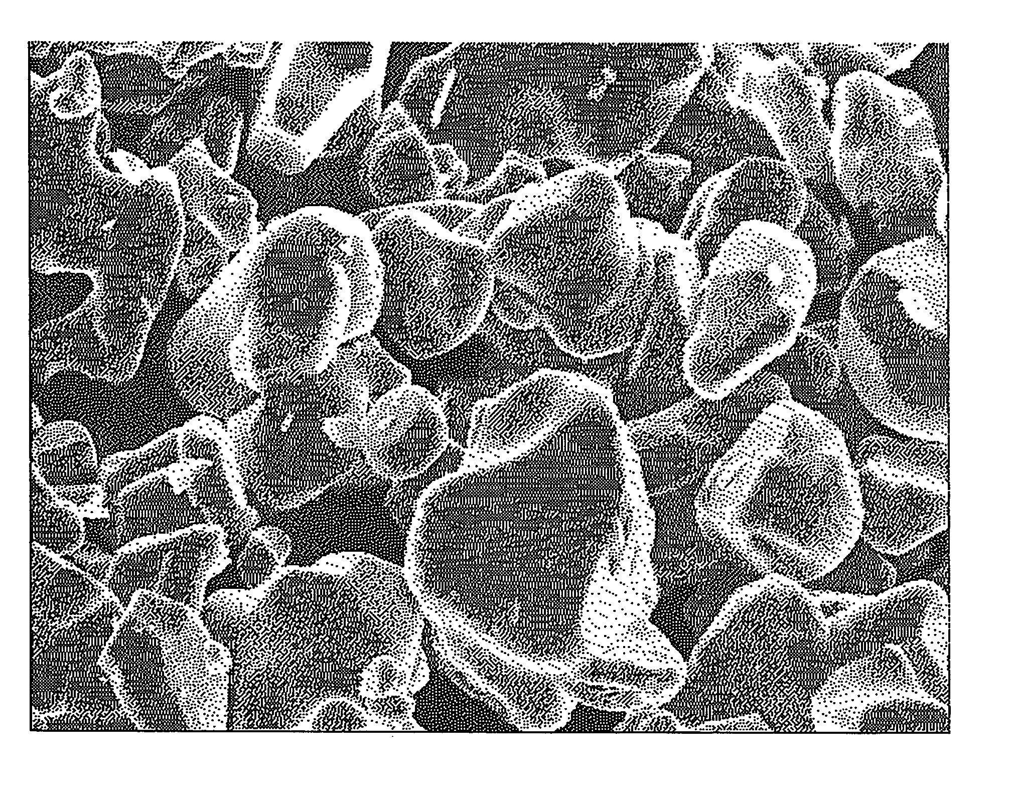 Lithium cobalt oxide, method for manufacturing the same, and nonaqueous electrolyte secondary battery