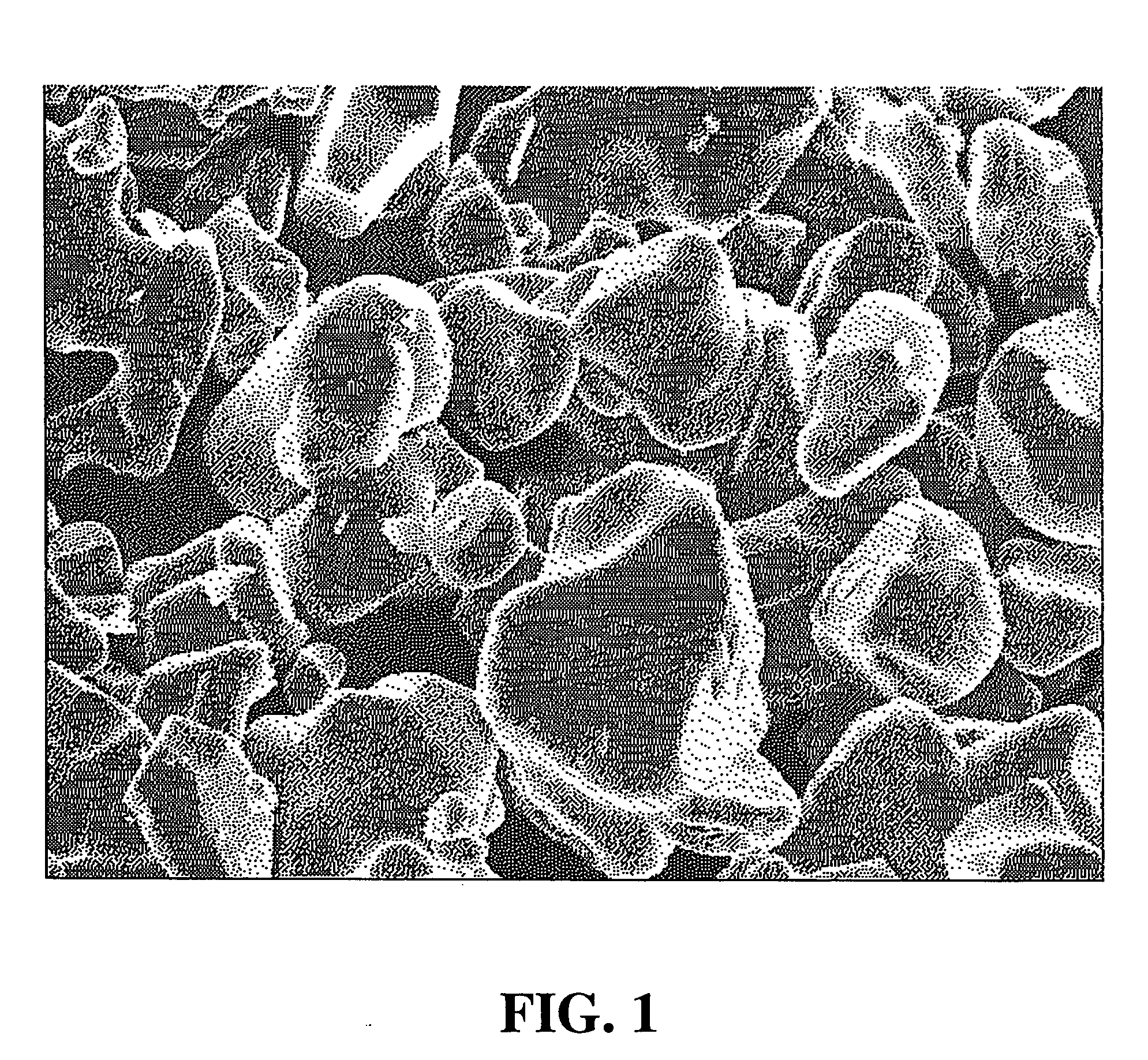 Lithium cobalt oxide, method for manufacturing the same, and nonaqueous electrolyte secondary battery