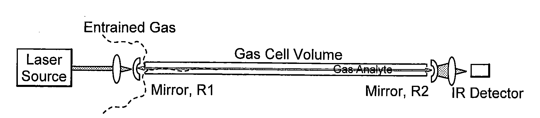 Hollow waveguide cavity ringdown spectroscopy