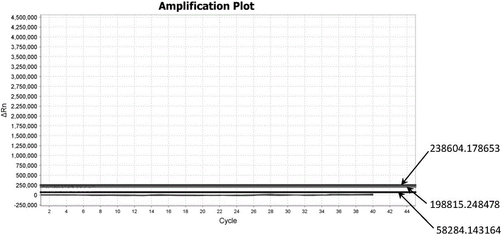 Specific primer and probe combination and reagent kit for fluorescent quantitative PCR (polymerase chain reaction) detection on 15 types of HPV (human papillomavirus)