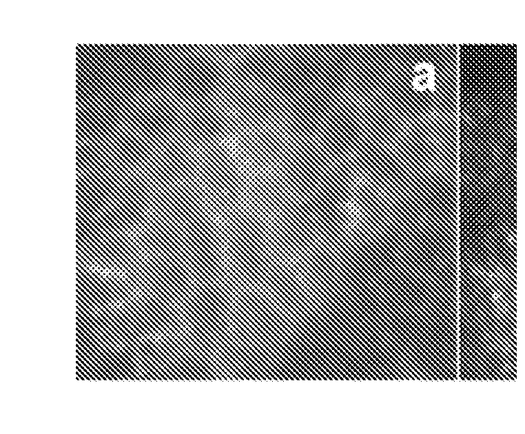 In vivo spectral micro-imaging of tissue