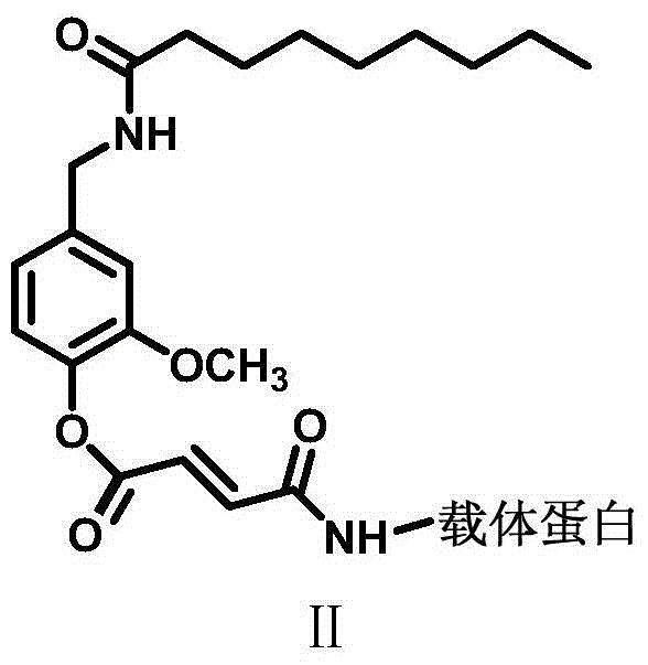 Dihydrocapsaicin artificial hapten and artificial antigen as well as preparation methods thereof