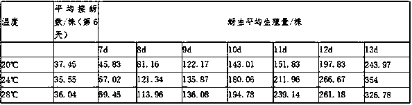 Method for workshop large-scale production of pea aphids