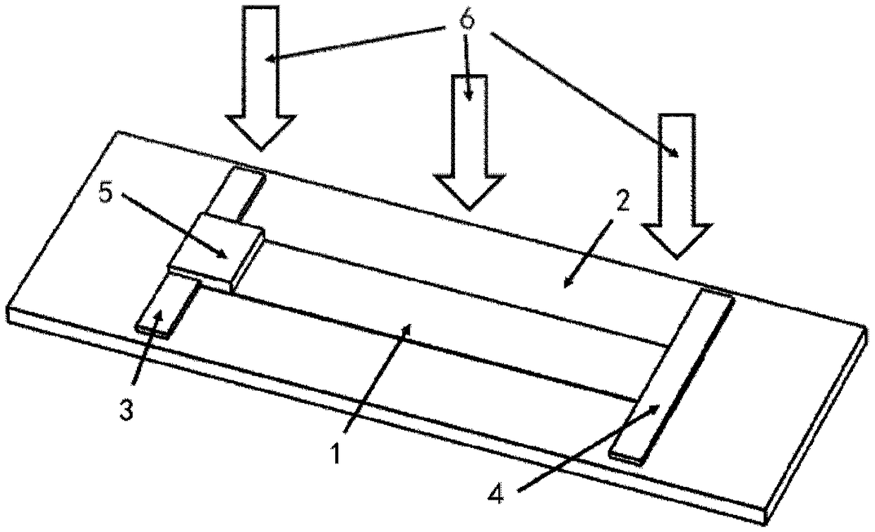 Terahertz detector and manufacturing method therefor