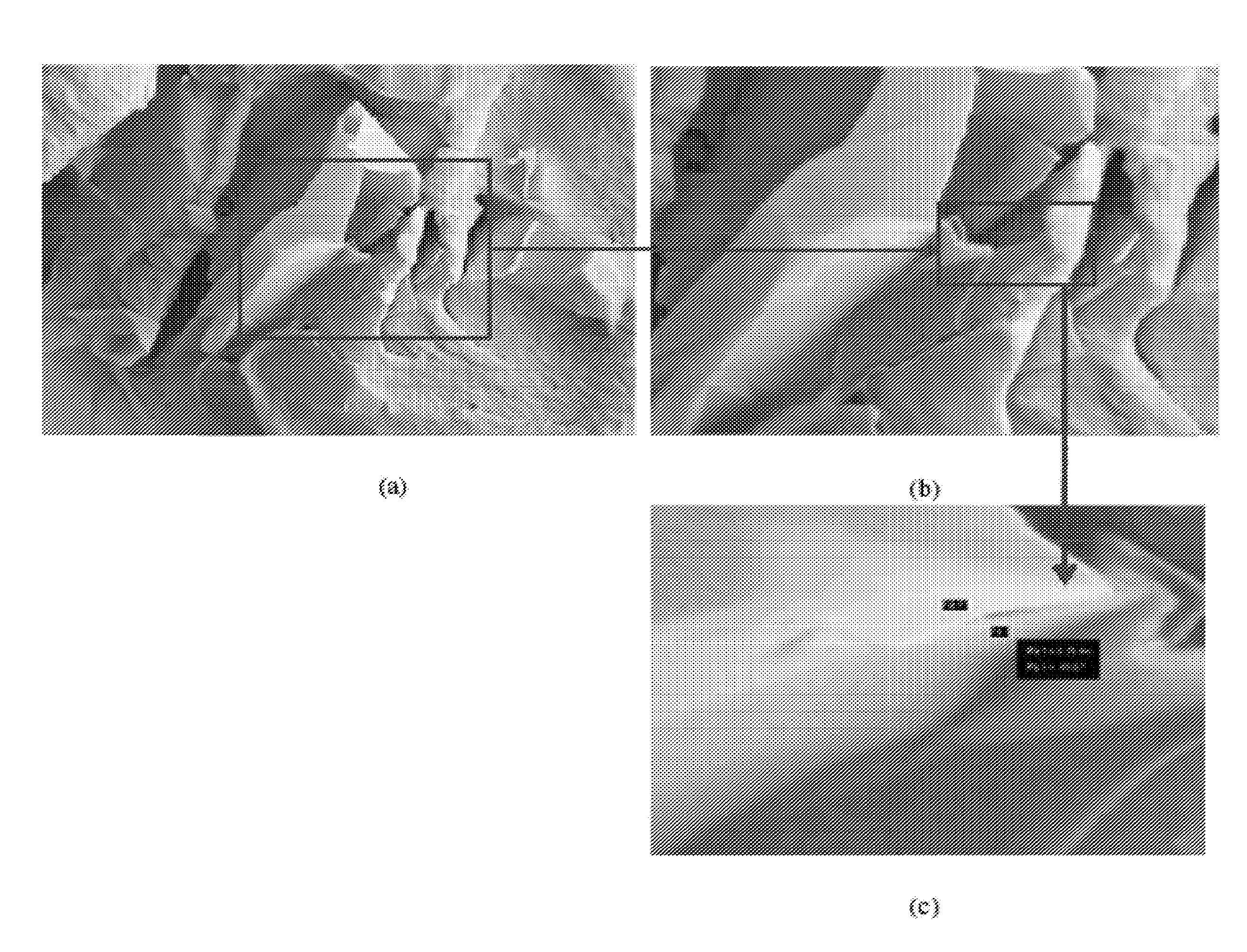 In Situ Exfoliation Method to Fabricate a Graphene-Reinforced Polymer Matrix Composite (G-PMC)