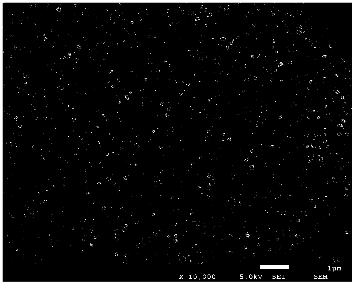 A kind of highly active molybdenum sulfide thin film electrocatalyst and preparation method thereof