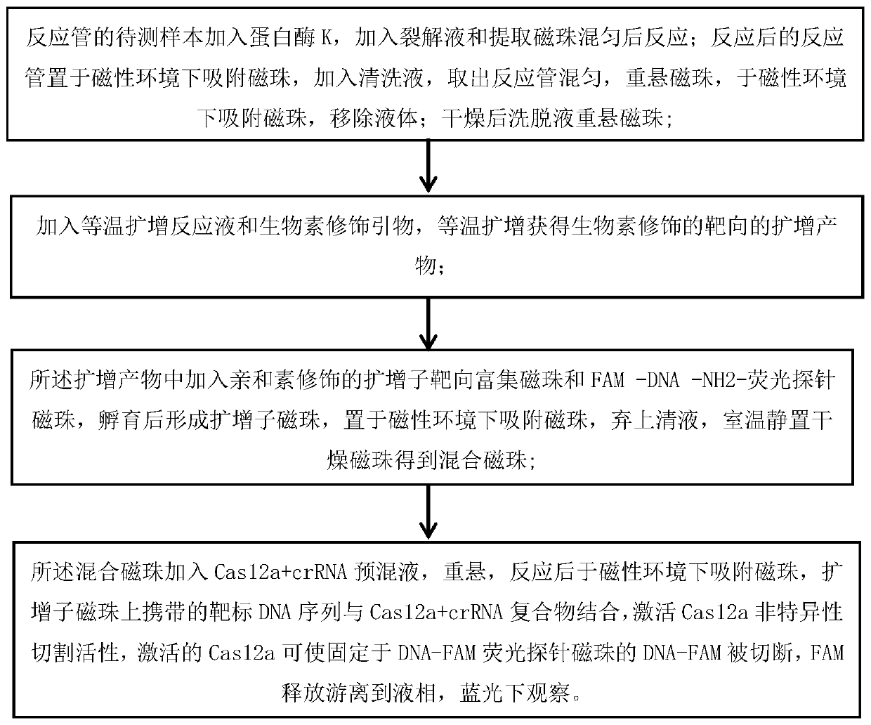 Method for realizing visual nucleic acid testing by composite magnetic beads