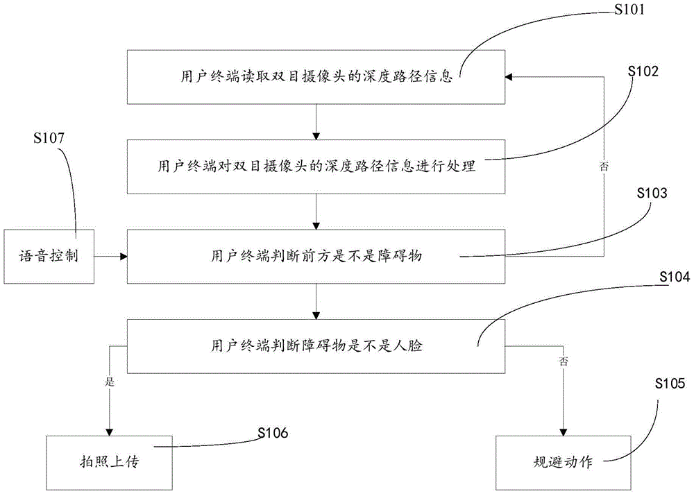 a social robot