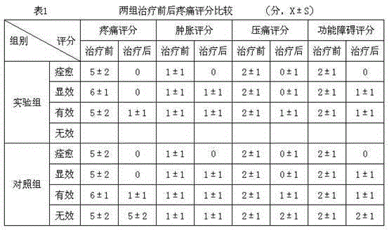 Traditional Chinese medicine preparation for treating pain diseases or arthralgia and preparation method thereof